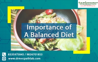 Importance of A Balanced Diet